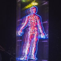 Zjevení, Revelation, plexi, neonové trubice, plexi, neon tubes, 240 x 100 x 50 cm, 2018